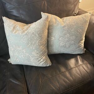 Domain Feather Pillows Set Pair 2 Green Seaglass Beach Farm Square 18”